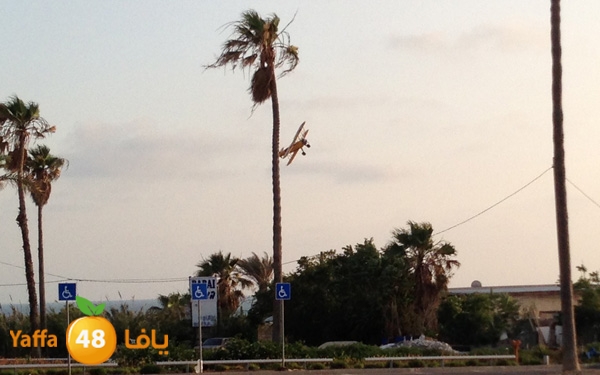 planetayar518 (1).JPG